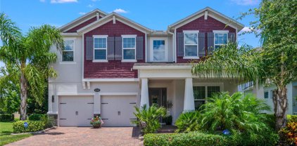 8145 Gray Kingbird Drive, Winter Garden