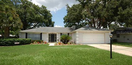1401 Overlake Avenue, Orlando