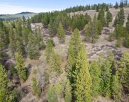 10911 S Lambs Ln, Mica image