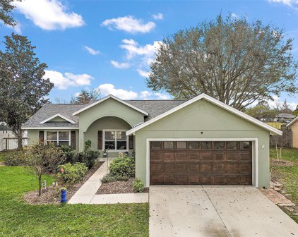 11736 Constance Way, Clermont