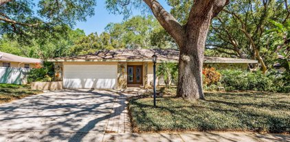 485 Lakeview Drive, Palm Harbor