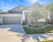 13908 Painted Bunting Lane, Riverview image