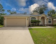 16 Pebble Stone Lane, Palm Coast image