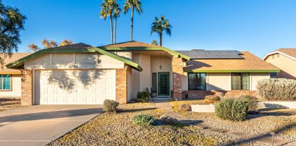 1252 E Brentrup Drive, Tempe