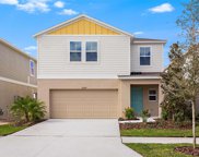 14886 Summer Branch Drive, Lithia image