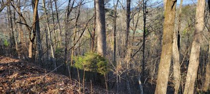Lot 99 Dolly South Dr, Sevierville
