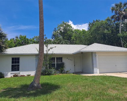 2417 Mango Tree Drive, Edgewater