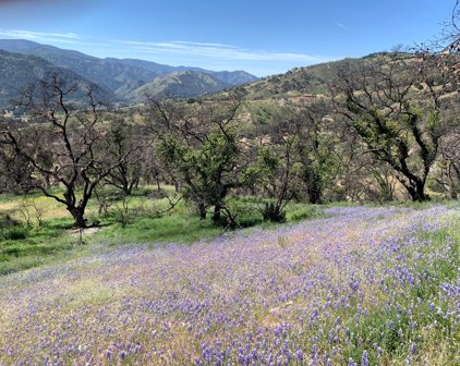 0 Cachagua, Carmel Valley