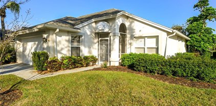 20951 Andiron Pl, Estero