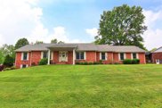 413 Lorraine  Drive, Cape Girardeau image