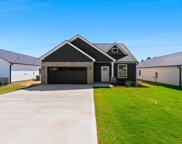 130 Lowe, Chesnee image