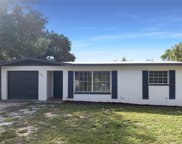 8317 Oleander Lane, Tampa image