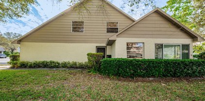 3428 Annette Court, Clearwater