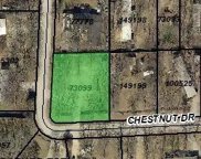 1212 Chestnut  Drive, Bartonville image