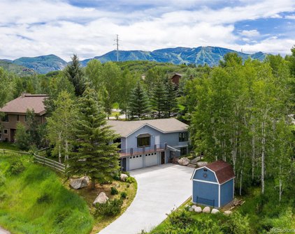 435 Willow Court, Steamboat Springs