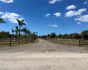 13099 Ficus Tree  Lane, Bokeelia image