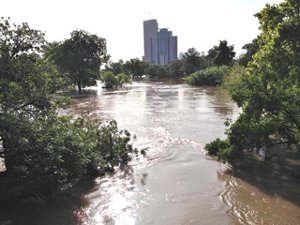 Buffalo Bayou in Flood by Carol Smith