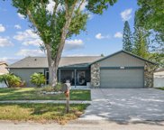 12819 Tallowood Drive, Riverview image