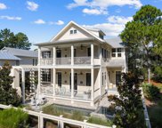 44 Crossvine Circle, Santa Rosa Beach image
