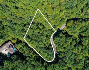 127 Mossy Glen Drive, Landrum image