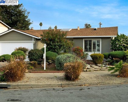 4436 Amador Rd, Fremont
