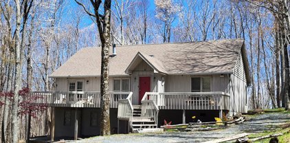 137 Staghorn Hollow Road, Beech Mountain