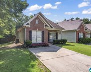 9300 Brook Forest Circle, Helena image