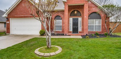 10111 Carano  Court, Irving