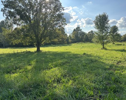 Clarksville Pike, Joelton
