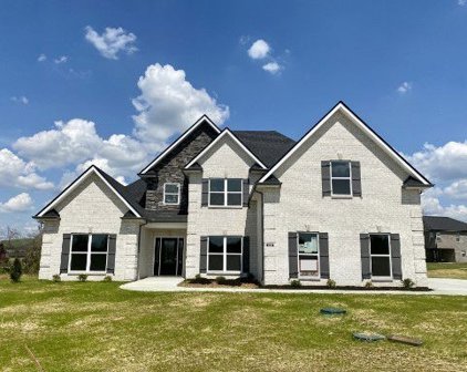 8906 Andalusion Way, Lascassas
