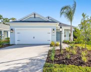 10606 Crooked Creek Court, Parrish image