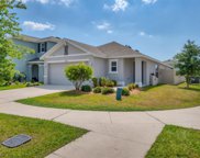 12107 White Cypress Place, Riverview image