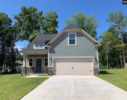 301 Dolly Horn Lane, Chapin image