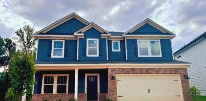 23 Riley Eden Lane, Greer