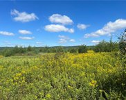 9767 South Kings, Lower Milford Township image
