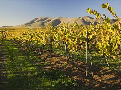 Santa Maria CA Lease to Own Homes Search