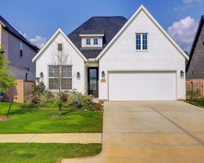 24538 Carleton Lake Lane, Tomball