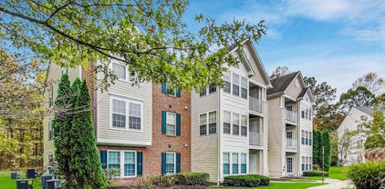 8702 Natures Trail   Court Unit #203, Odenton