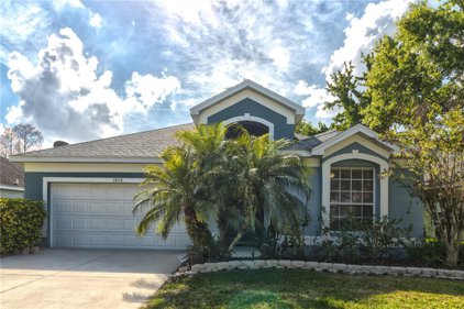 1824 Everhart Drive, Orlando