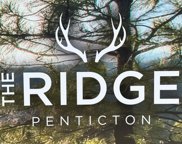 118 DEER, Penticton image