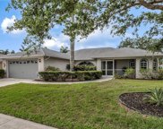 4107 Dahoon Holly Ct, Estero image