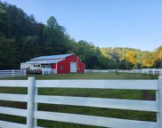 1311 Little Cove Rd, Sevierville image