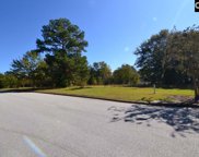 19 Blythe View Court Unit #10, Blythewood image