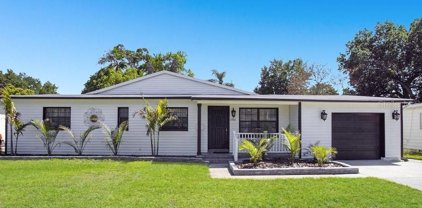 2916 Vine Street, Orlando