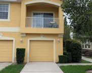9006 Moonlit Meadows Loop, Riverview image