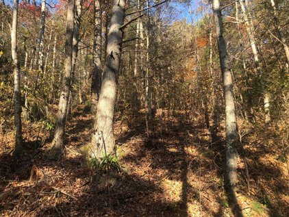 9.24 Acres Henry Town Rd, Sevierville