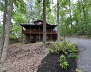 2164 Red Bud Rd, Sevierville image
