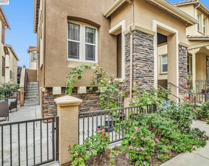 49042 Feather Grass Ter, Fremont