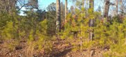 4771 Highway 92, Acworth image