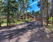 19331 Knotty Pine Way, Monument image